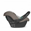 ABC Design Autositz Tulip Gruppe 0+ Pure nature